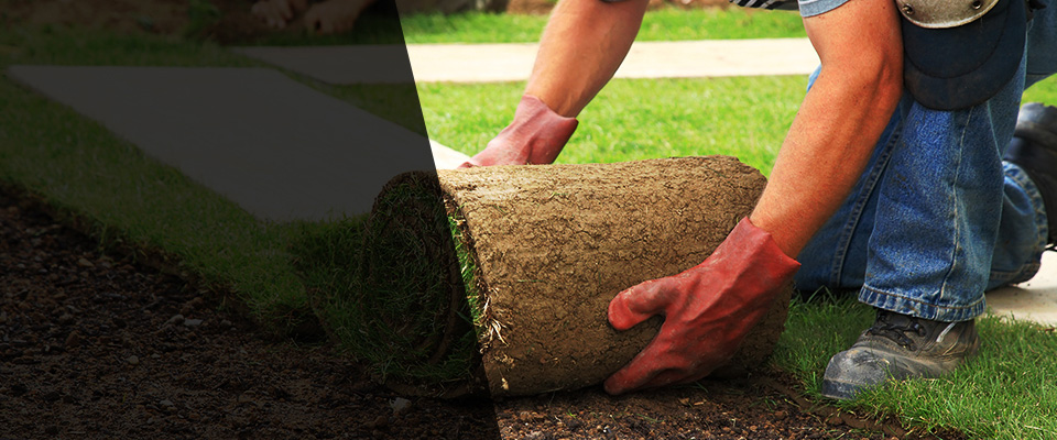 Conrad Landscapers